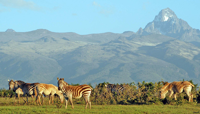 Eden Reforestion Project Kenya 1