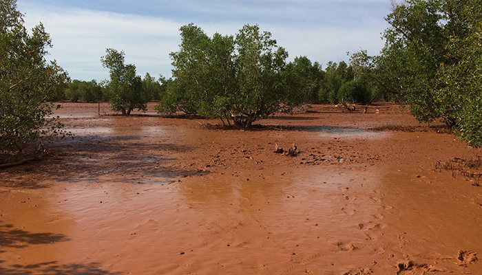 Eden Reforestion Project Madagascar 1