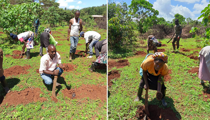 Eden Reforestion Project Kenya 3